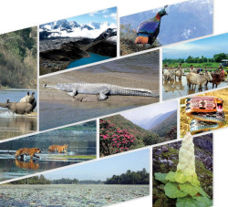 Stage set for Nepal-India MoU on biodiversity conservation
